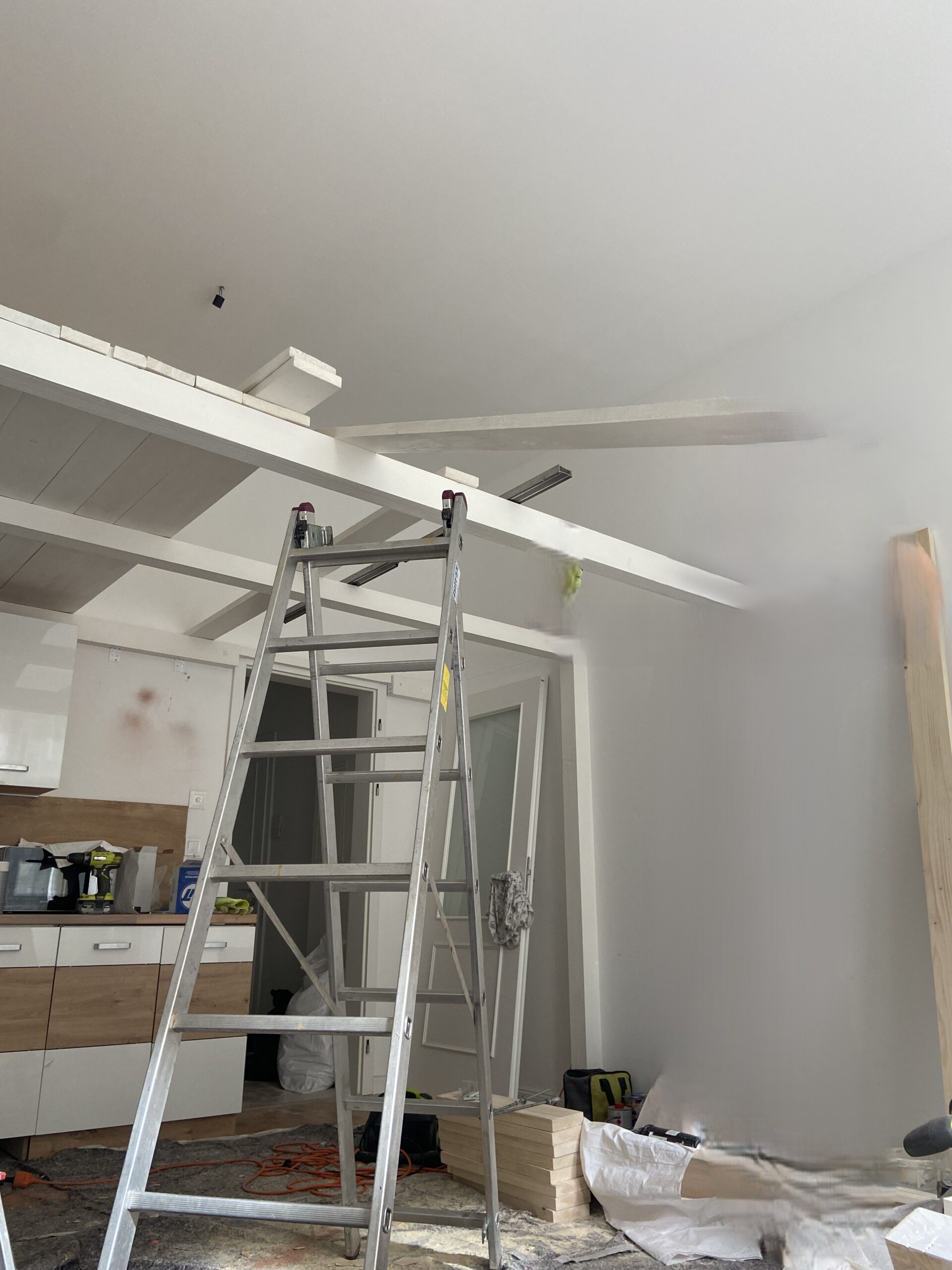 nemovitost Ječná 7, PŘED reko